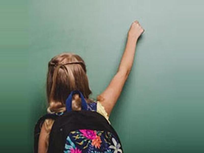 A Educação Inclusiva segundo os pais
