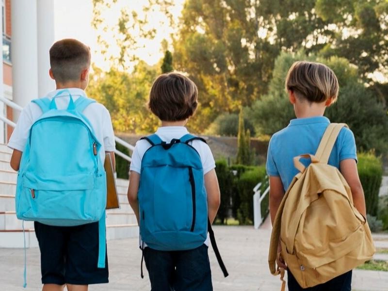 Seguro Escolar: investimento ou custo? Descubra por que sua escola não pode ficar sem essa proteção